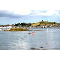 Portaferry_from_Strangford.jpg